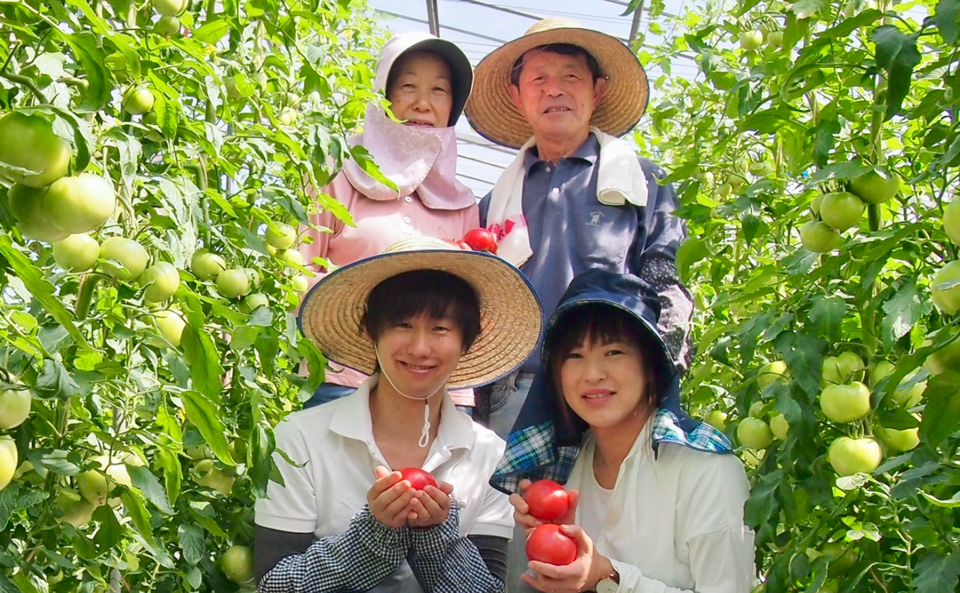 山梨のヨダファームさんの絶品トマト🍅研究＆ワクワク会議