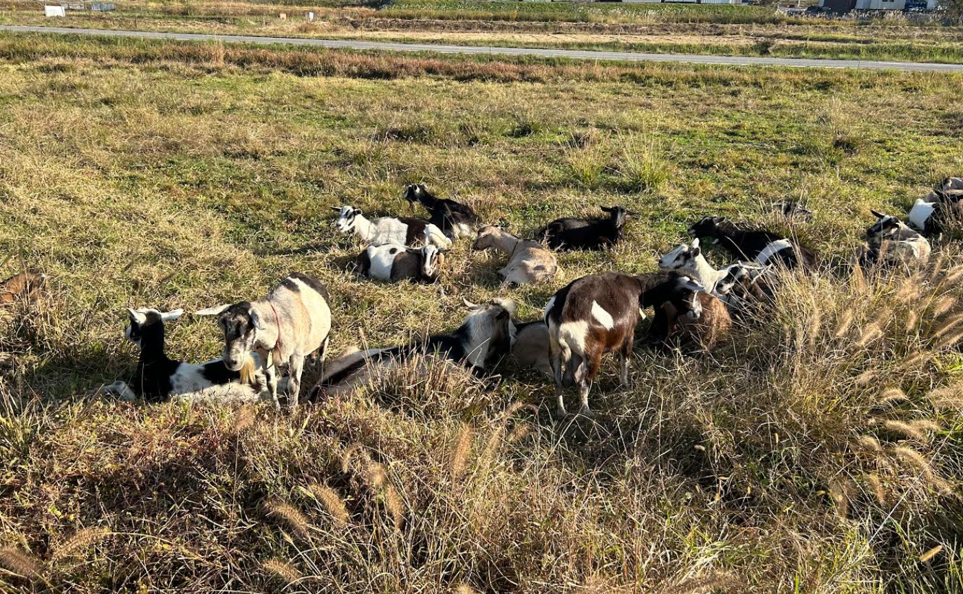 旅するDEAN & DELUCA通信｜広島県・三好市