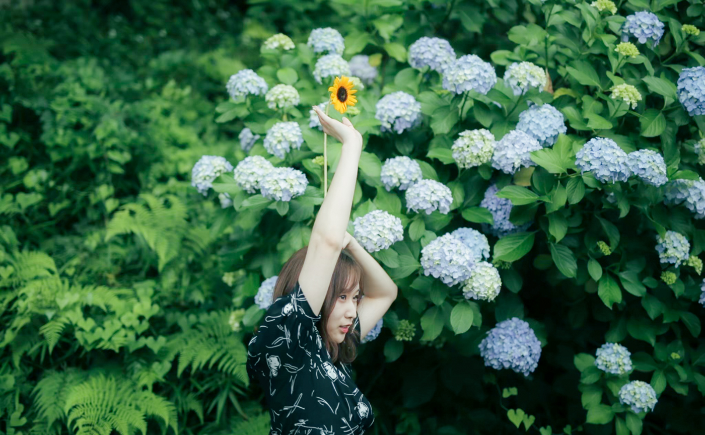 【第３回】紫陽花を撮りにいきませんか？？