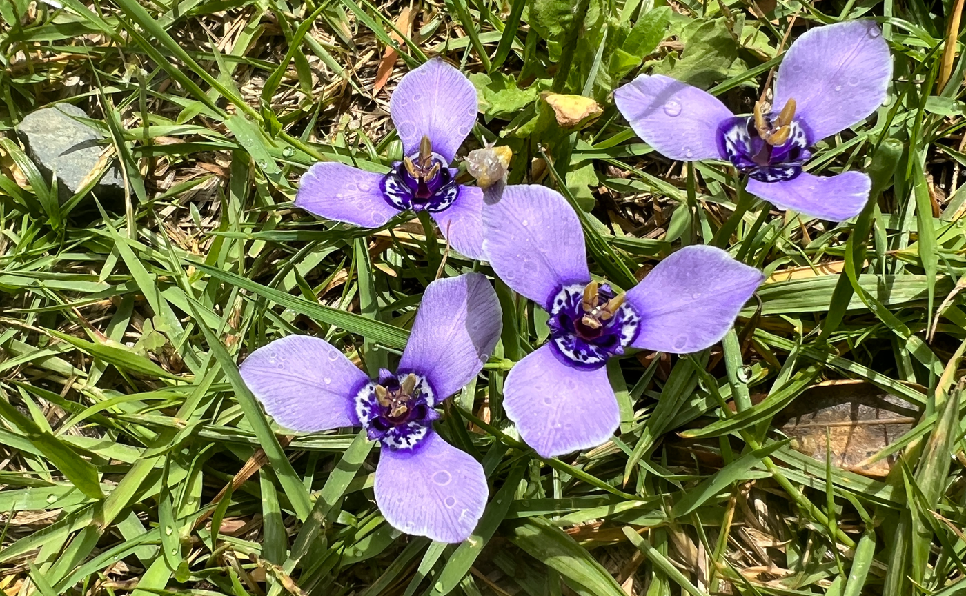 自分のテリトリーから抜け出そう Part2 自分の居場所をじわじわと育もう
