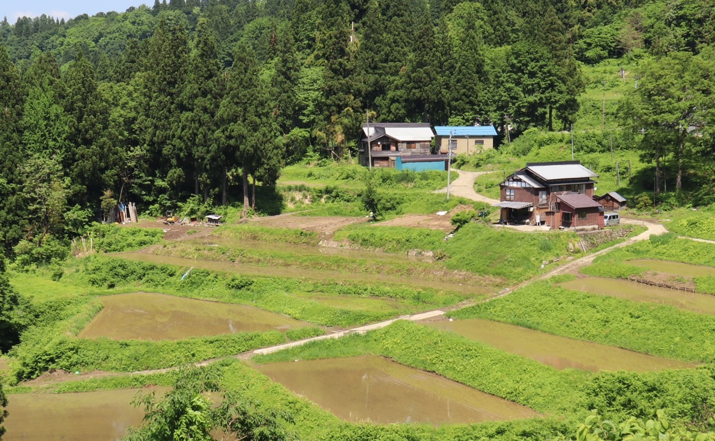 新潟・池谷 入山の棚田コラボ！お米大研究会