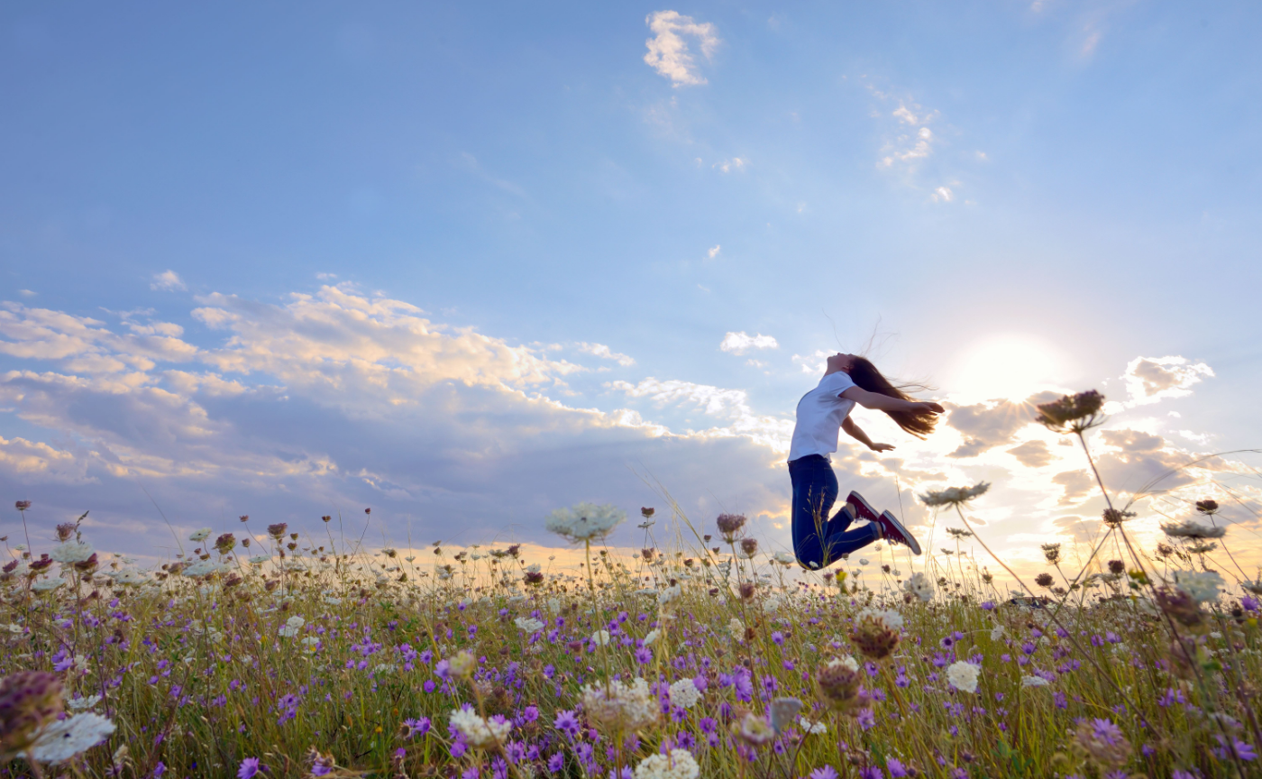 〔ミモレ編集室〕の応募フローを解説します【応募フォーム回答をお忘れなく!】