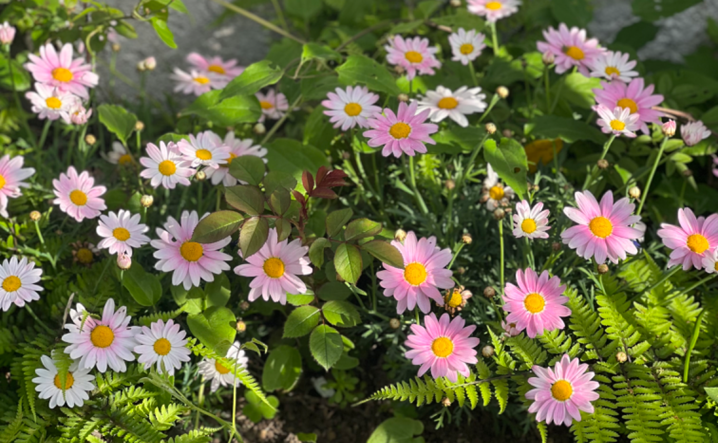 自分のテリトリーから抜け出そう　Part3 好循環の中に身をおこう