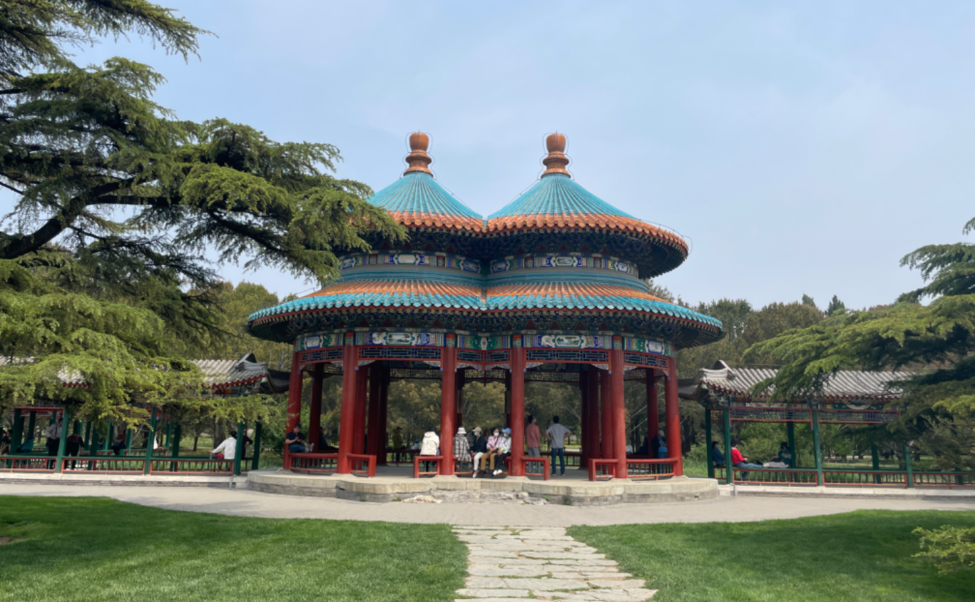 鳴かぬなら 'GPT-4' ホトトギス