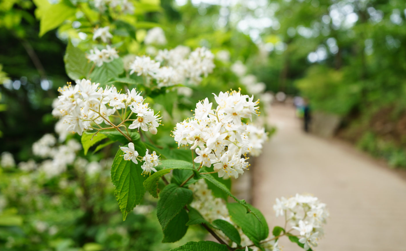 【イベントレポ】SHIORIさんのピラティスレッスン〜ジャーナリングで心の軸を探る