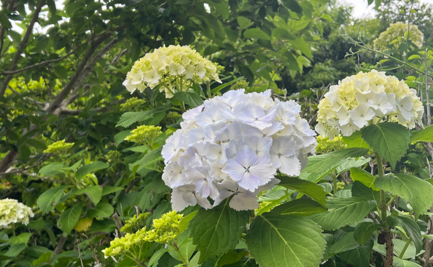 自分のテリトリーから抜け出そう！part5 実践は失敗を積み重ねるためにある