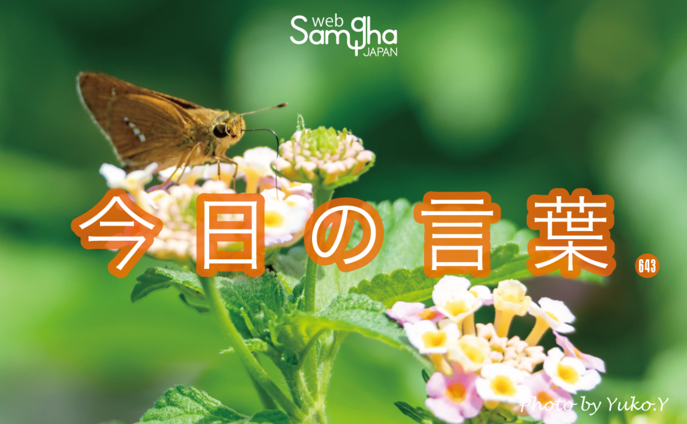 6月5日　今日の言葉　仏教は、誰にでもある土台