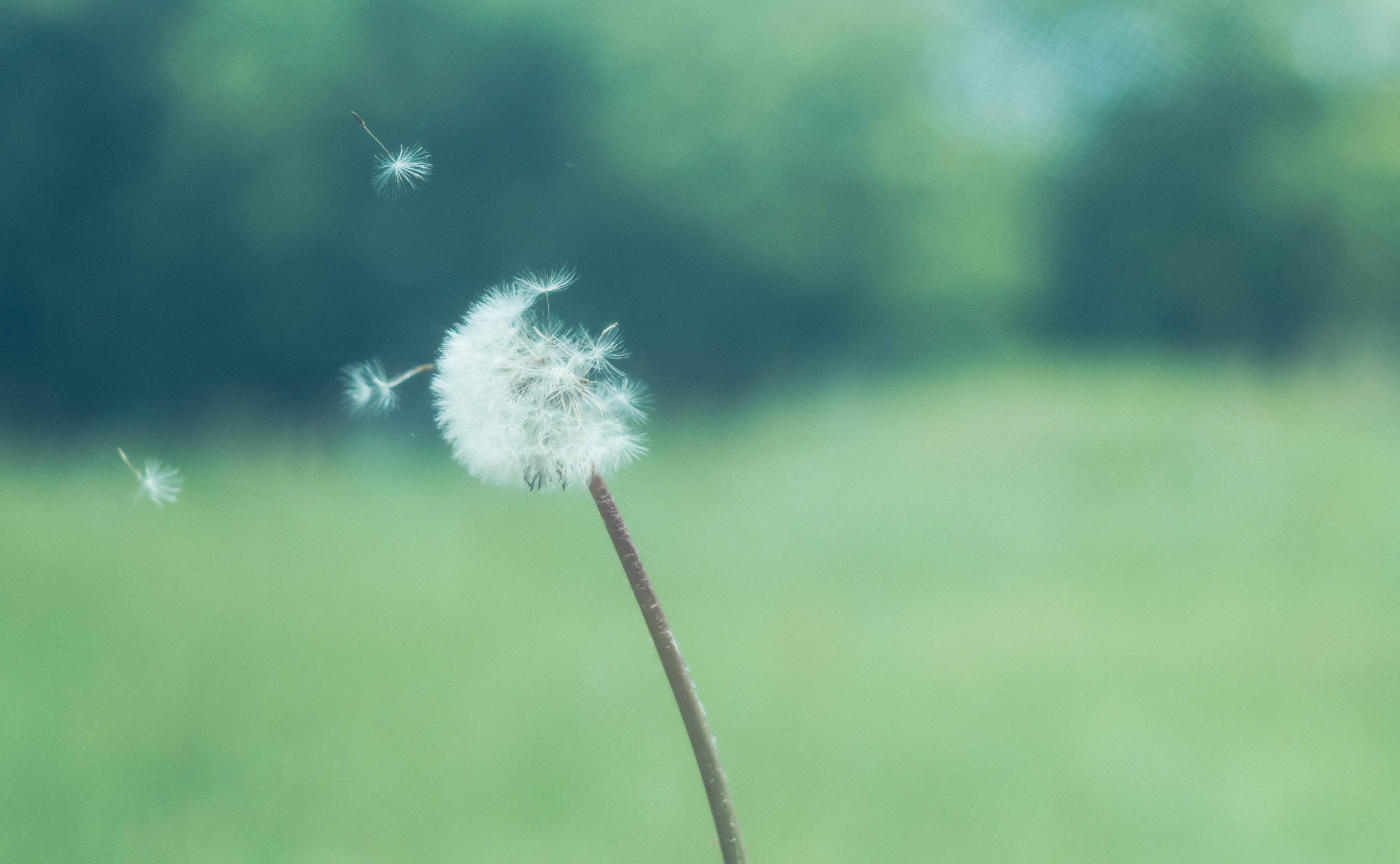 タウンレポート / 2023年6月1日