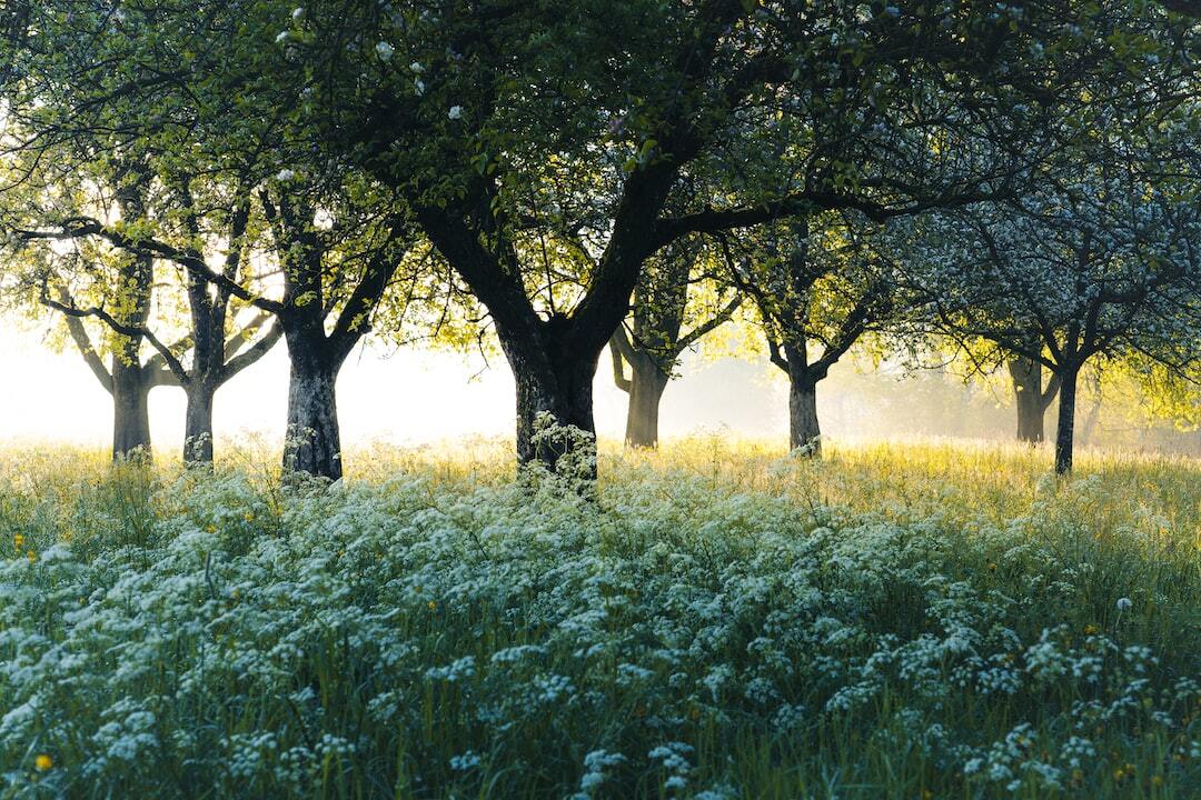 ラボ的オーガニックライフ2023  part1  元気を食べる