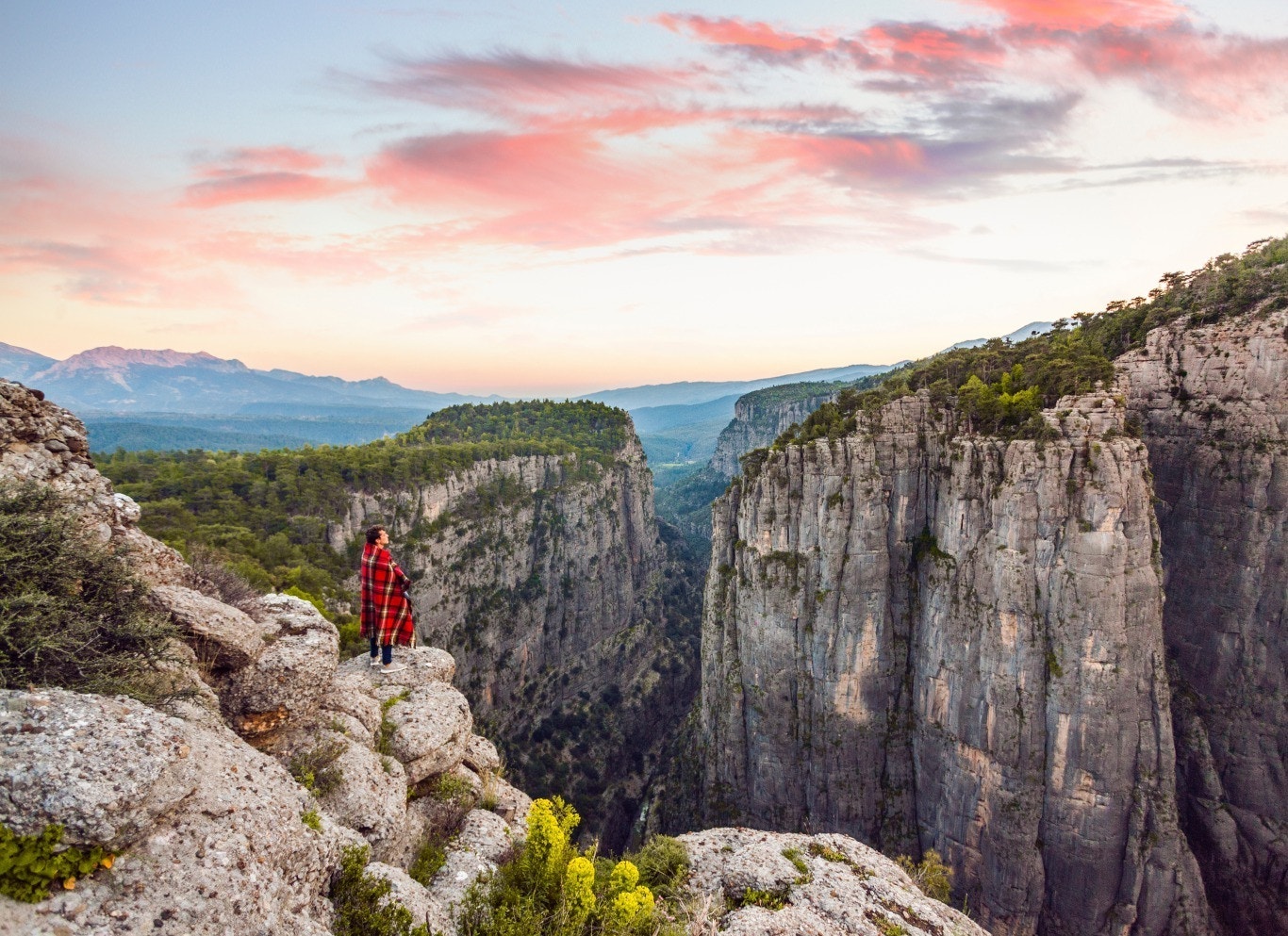 自身の価値を知る｜リーダーシップのタイプを知る
