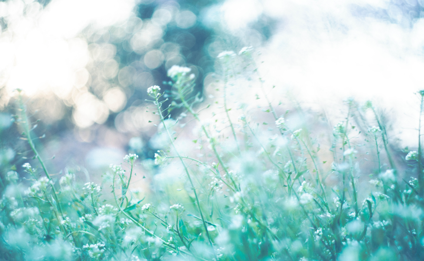 「私の世界を見つけよう」たくさんの作品から、好きを深めるディスカッション会