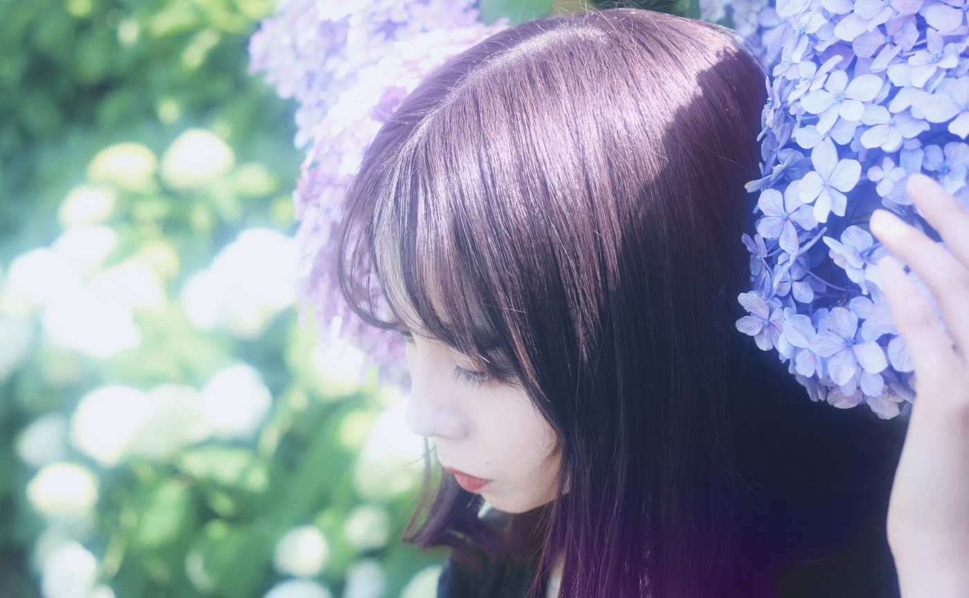 水辺公園の紫陽花ポートレート