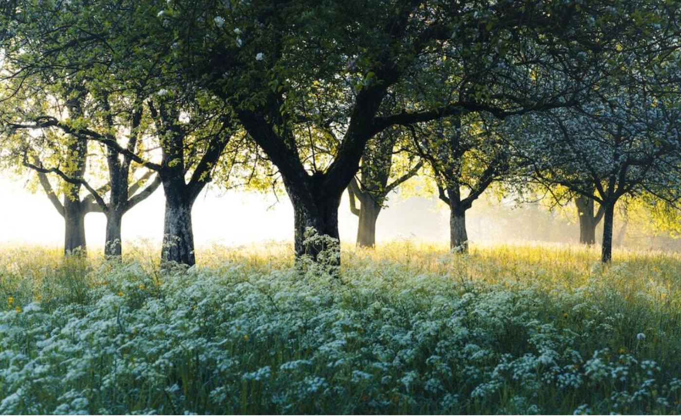 ラボ的オーガニックライフ2023 part2 気持ちよく生きる