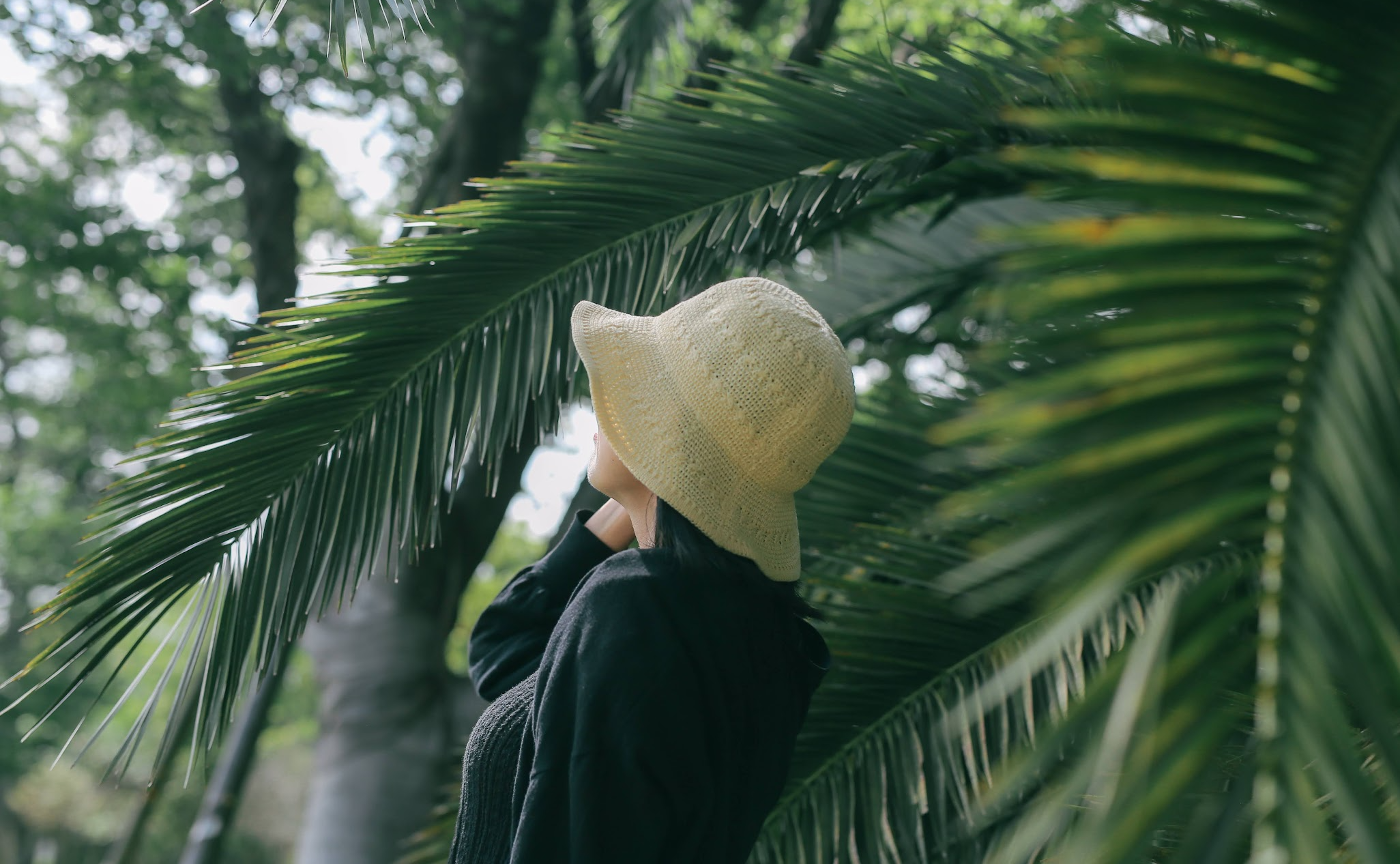 夢の島熱帯植物館で、リフレッシュ撮影レポ🌿