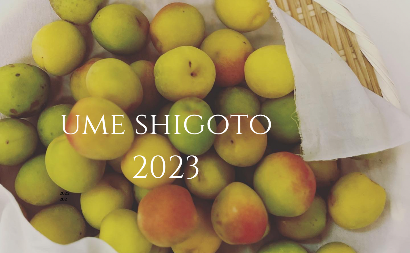 梅しごと 2023