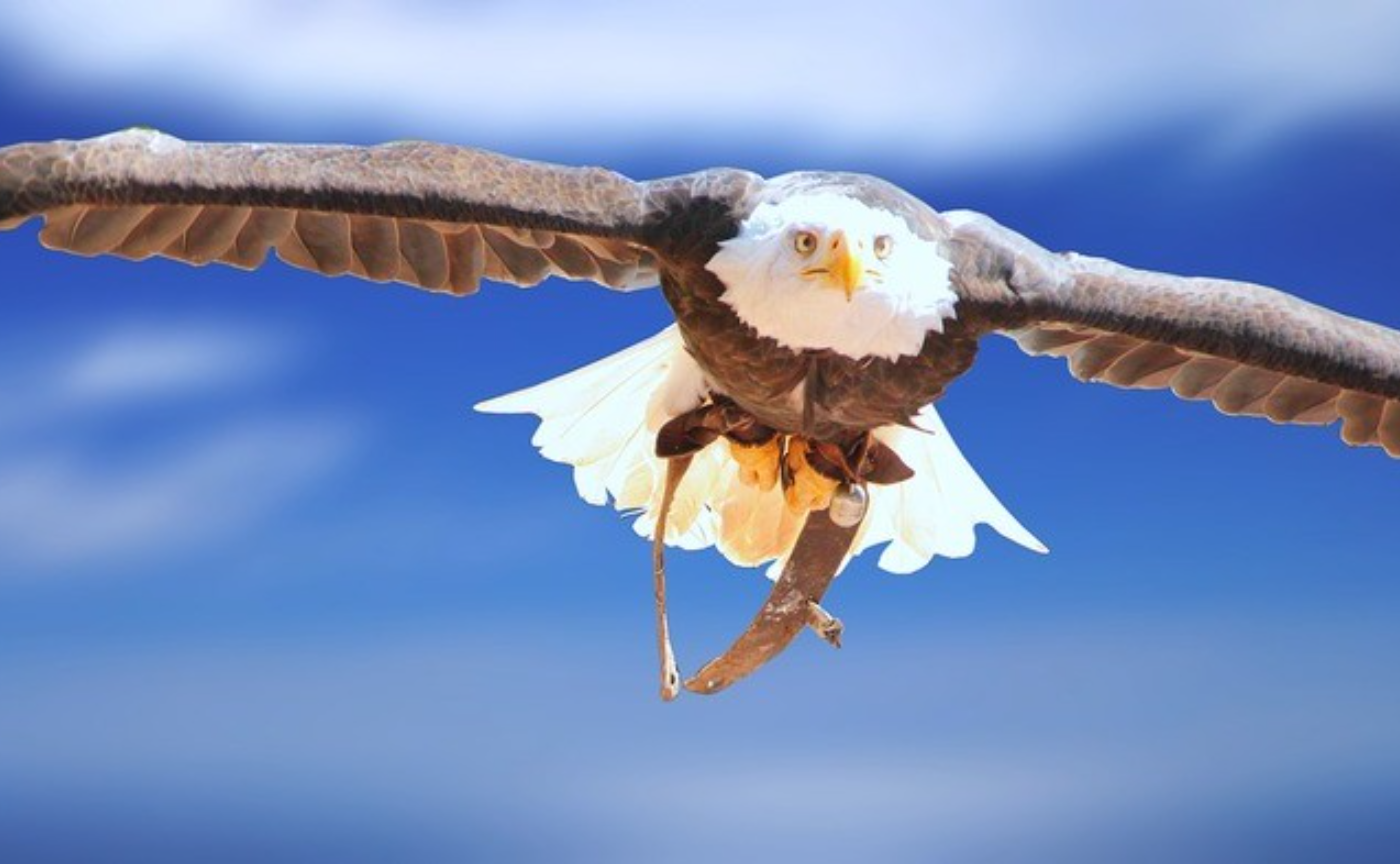 資質学メソッドトレーニング①　〜「四季の宝」意識エネルギーから観る〜