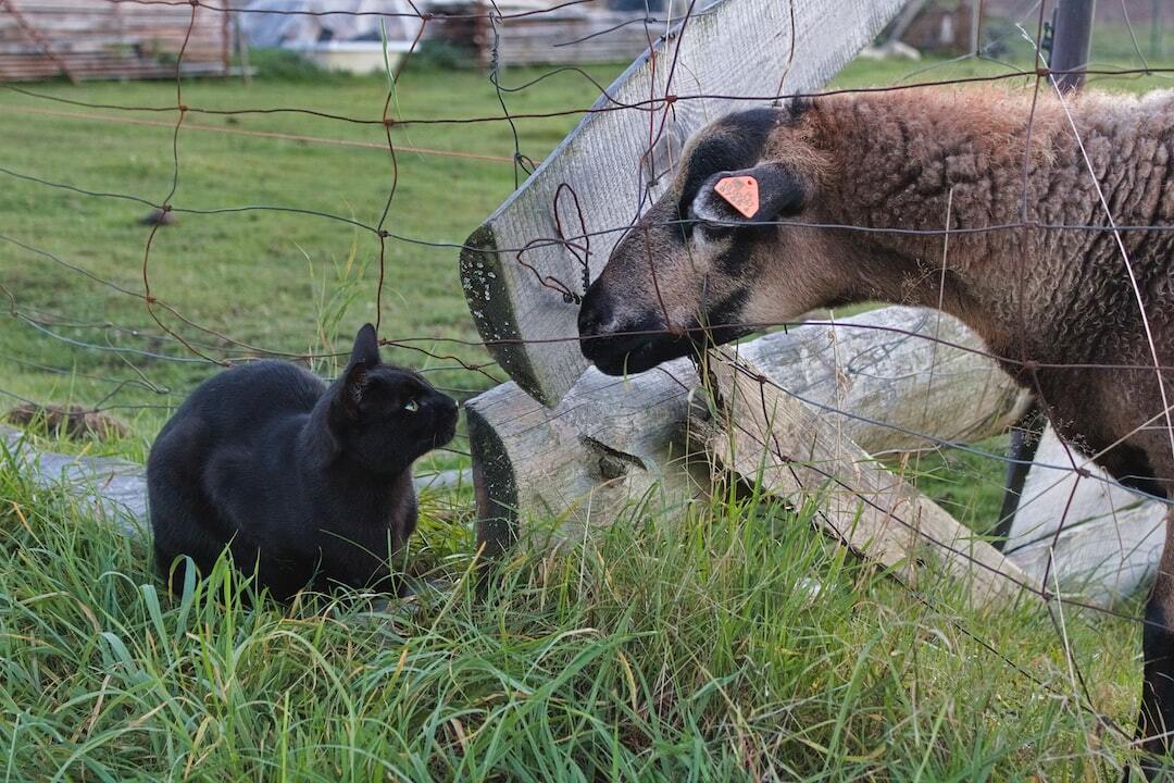 話す、ということ