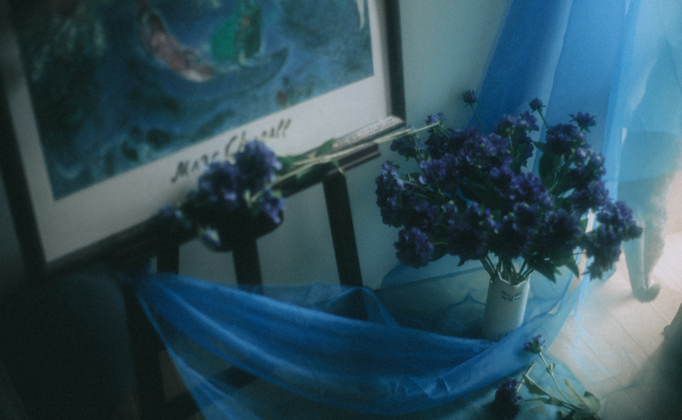 色をテーマにした写真を撮ってみようレポート