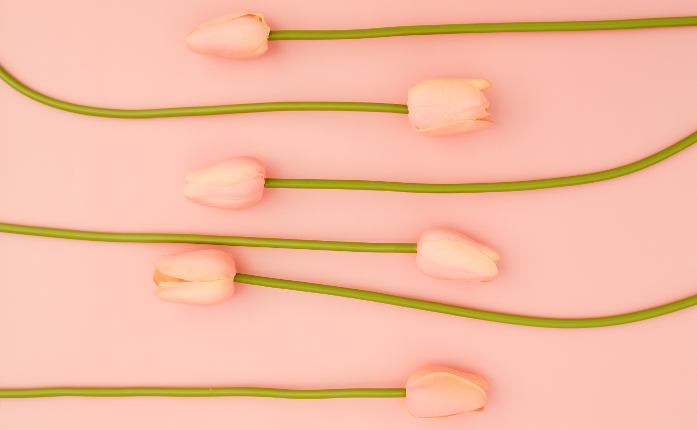 【東京】ピンク色をテーマにしたスタイリングで写真を撮ろう