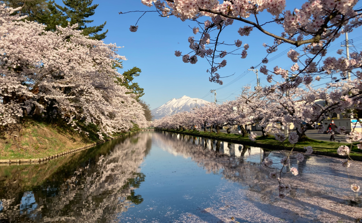 青森県・弘前市|〜推し酒編vol1〜