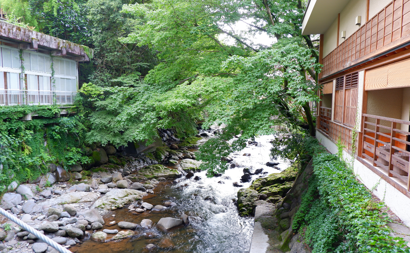 癒しを求めて・・・伊豆・修善寺を巡る温泉＆歴史の旅