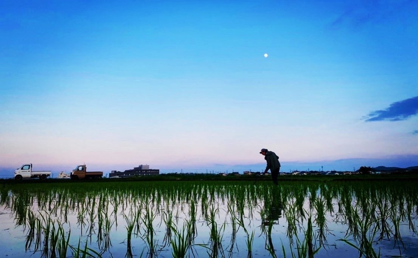 GAYAMA FARMコラボ！湘南の美味しいお米研究会！