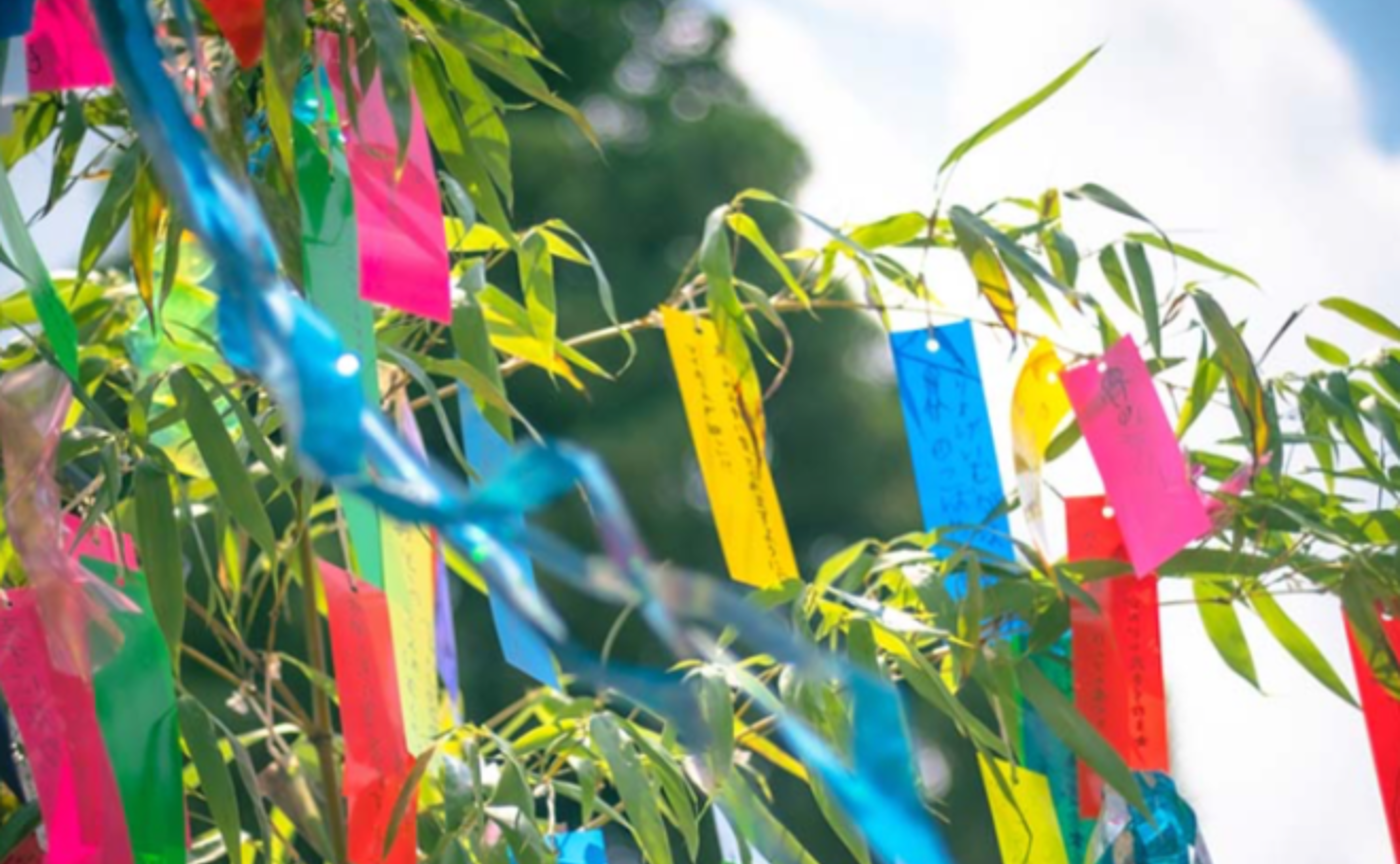 ドイツ在住アーティストMikiと七夕の「笹の葉」を描いてみよう：まとめ