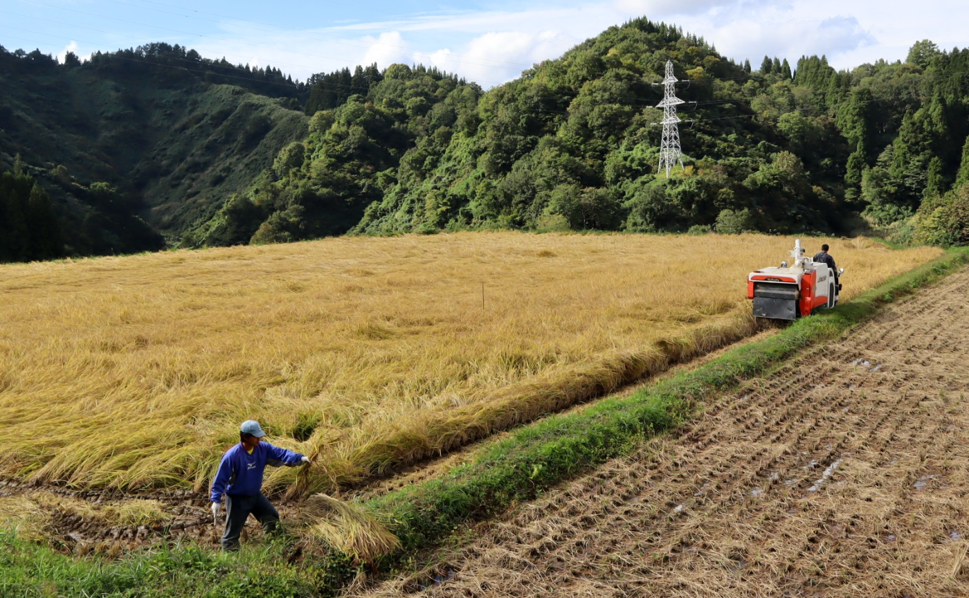 棚田でディープな体験を！撮影とBBQと交流を楽しむ、特別な2日間の旅