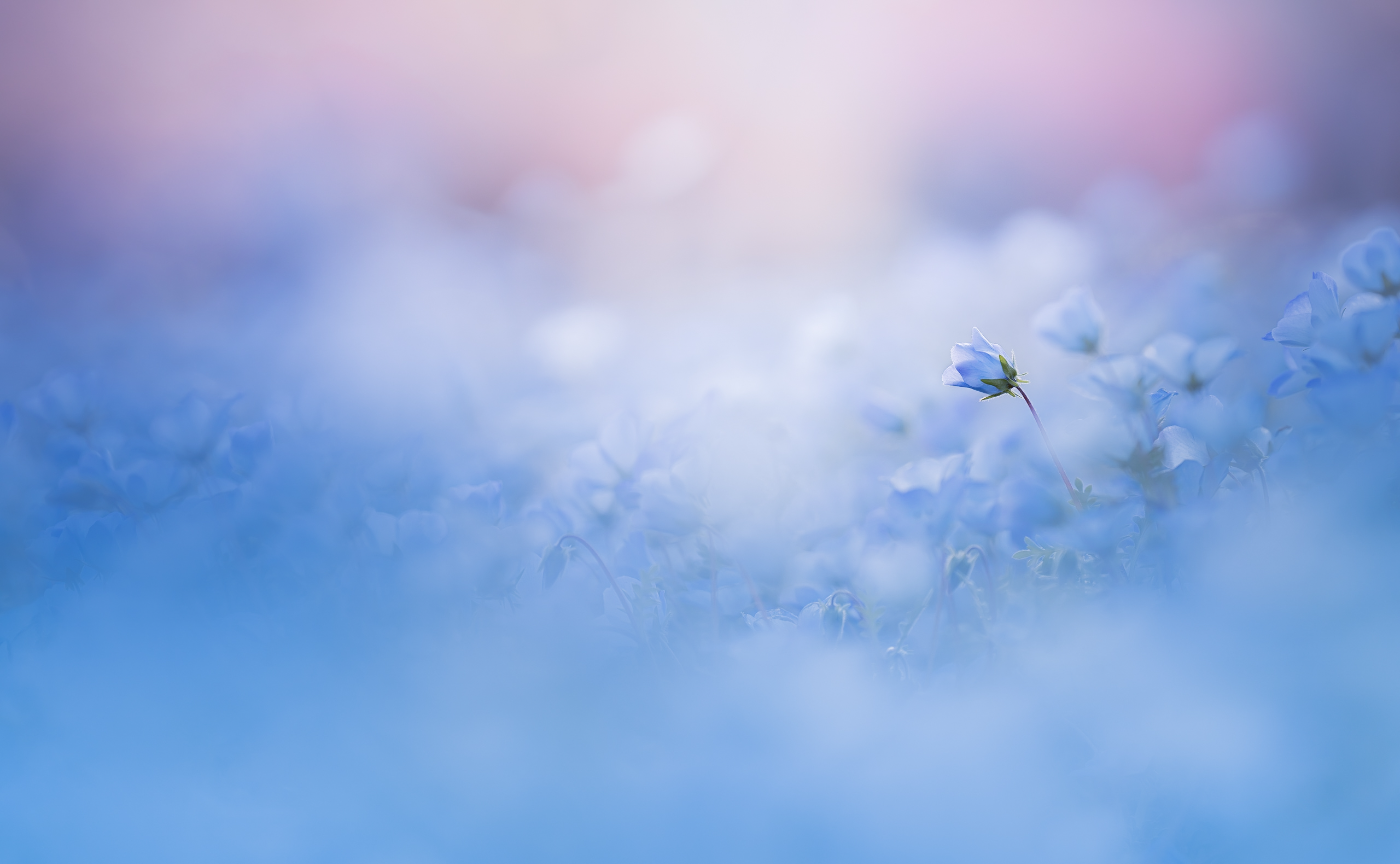 写真家・naco..さんを招いた夜の写真トーク会