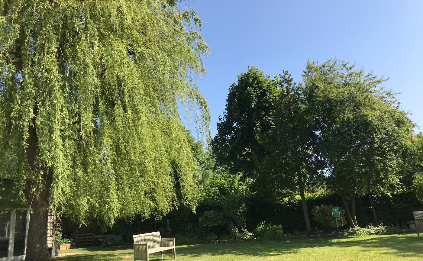 50代で合格しても、誰も面白がらない