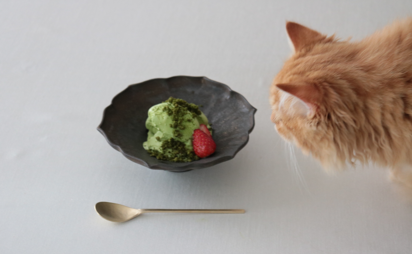 ひとさじに入ってよかったこと