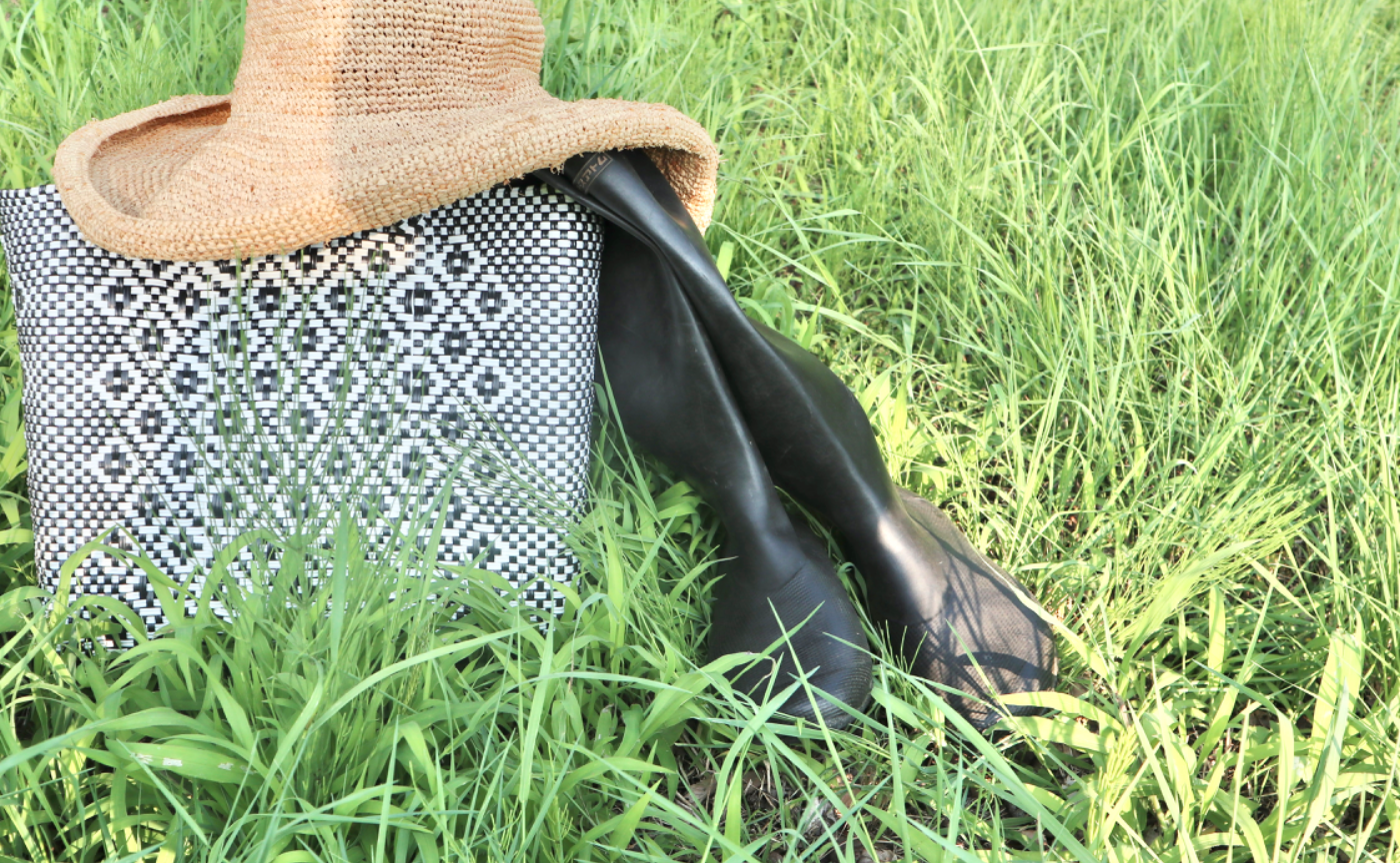 山梨県のクレソン農家を訪問