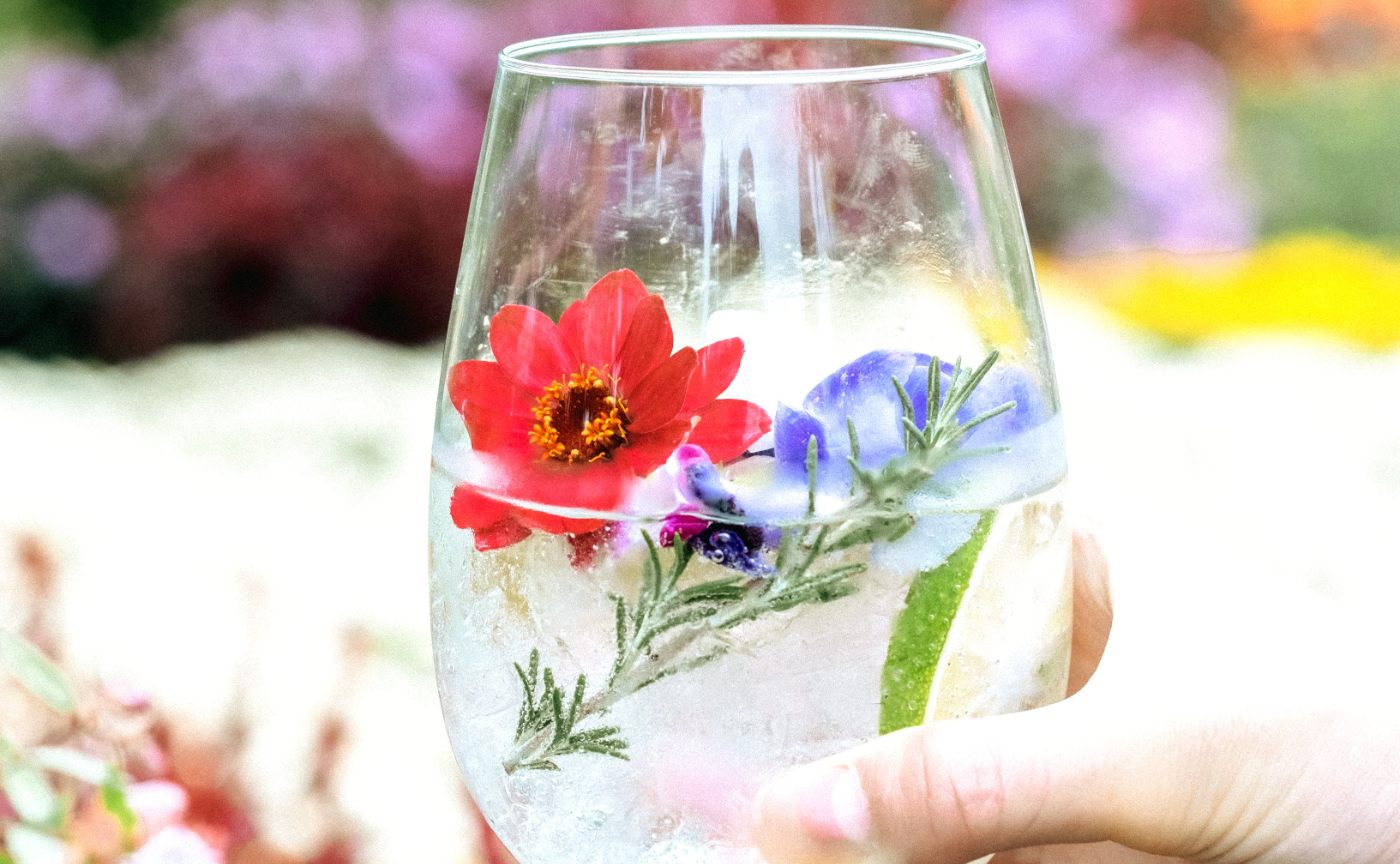 【大分】誰よりも先に！話題の限定BARを取材体験