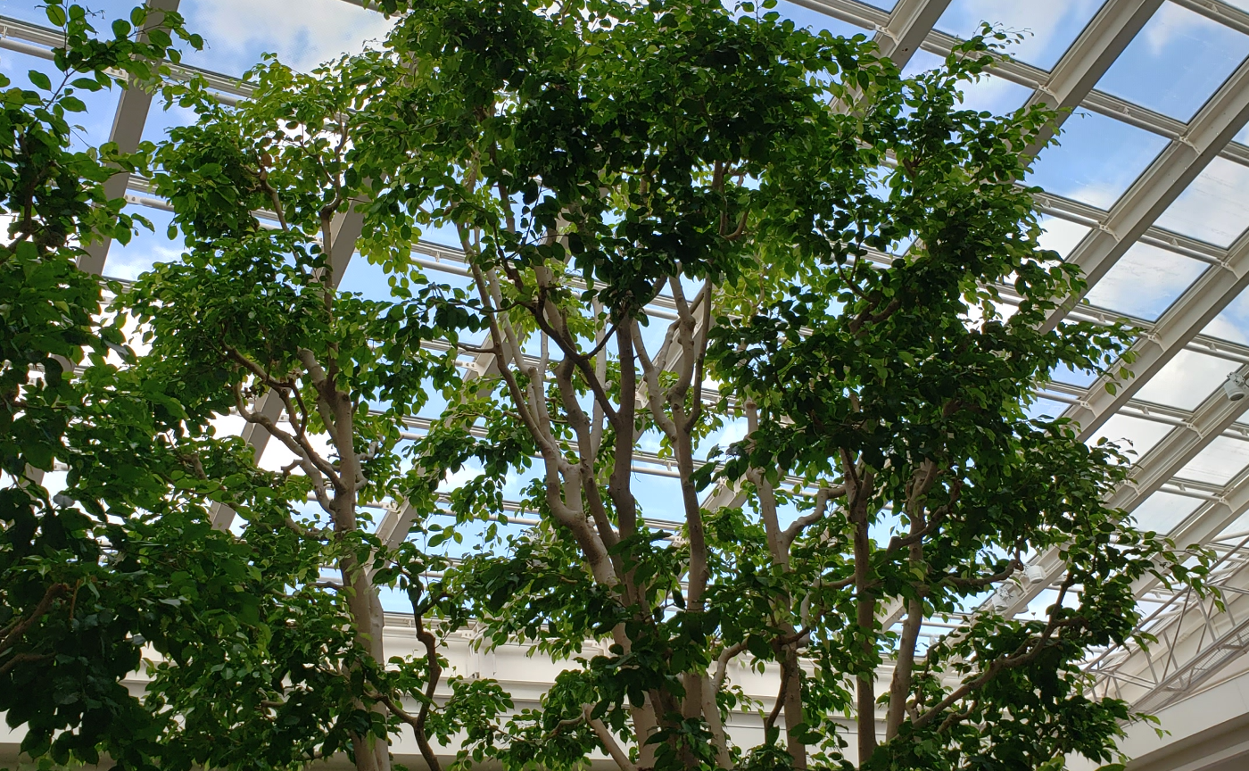 8月4日　あれから10年・・・