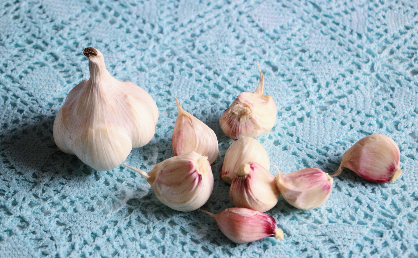 下村農園さんの生にんにくと長芋。