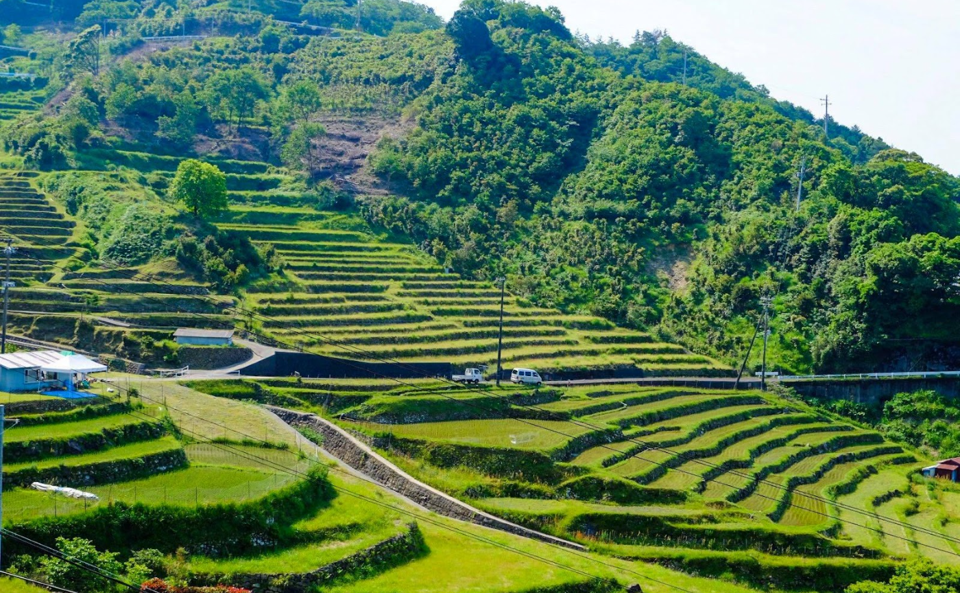 和歌山県の棚田で、一緒に企画を考えよう！交通費助成イベント
