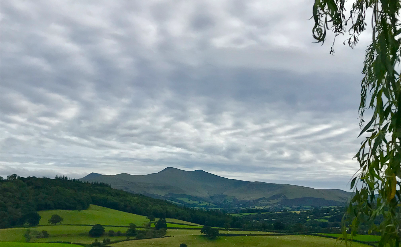 Dance Like Nobody’s Watching