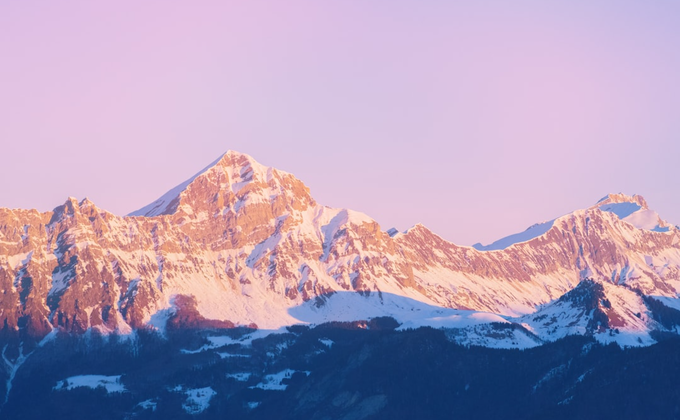 コンテンツ画像確認