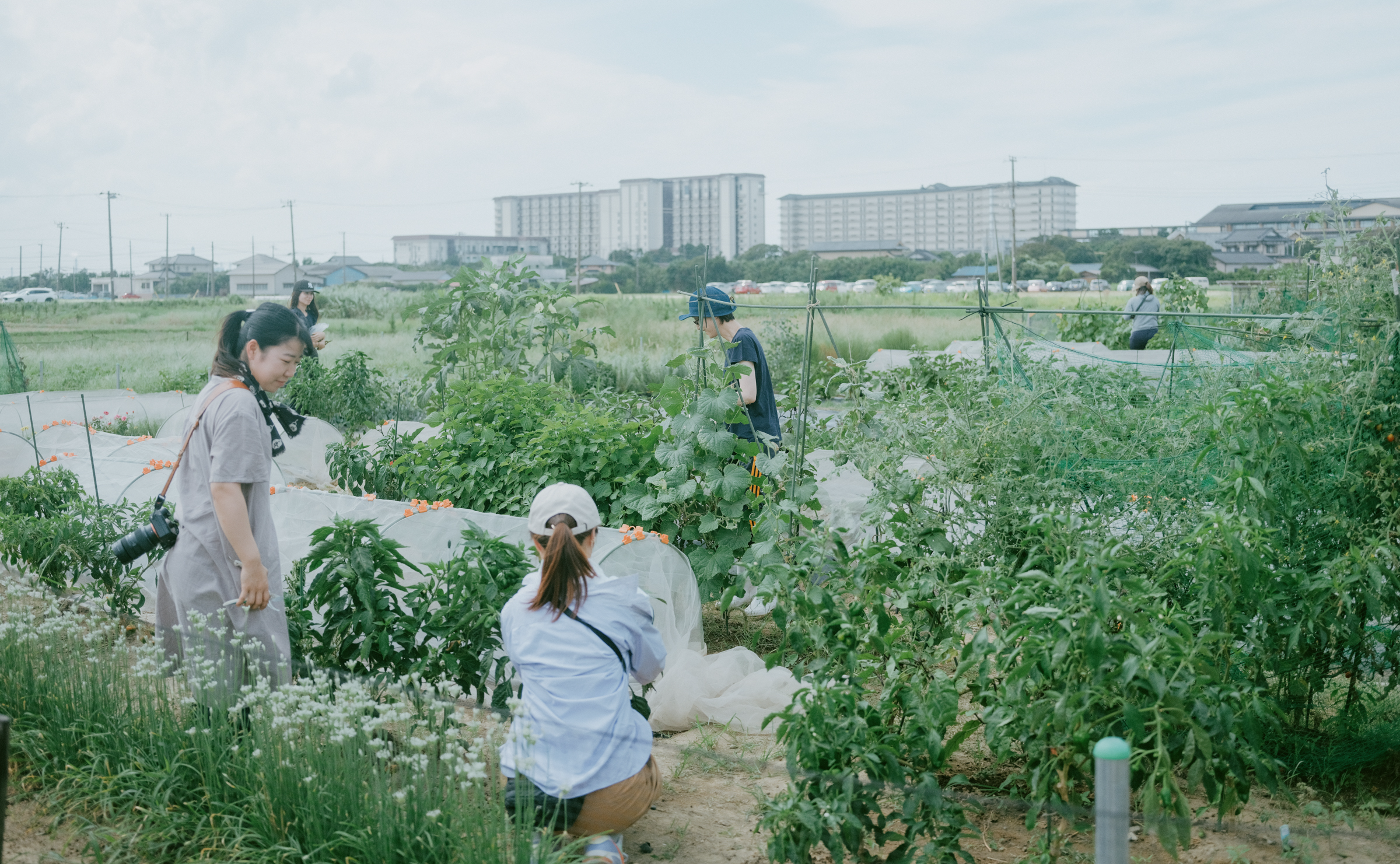 木更津で畑体験&グラマラスなBBQ!🍽✨ レポート