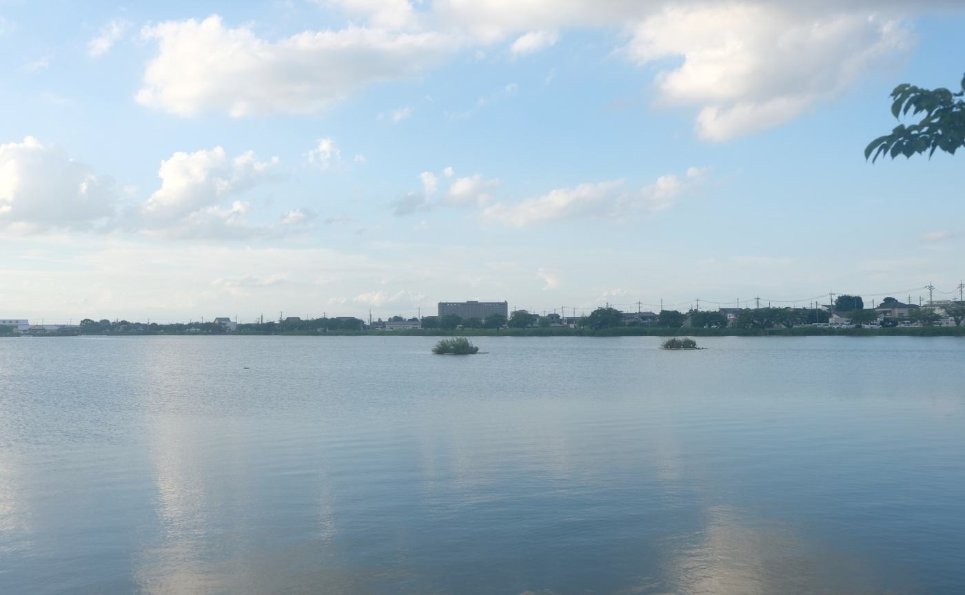 夏の終わりの伊佐沼