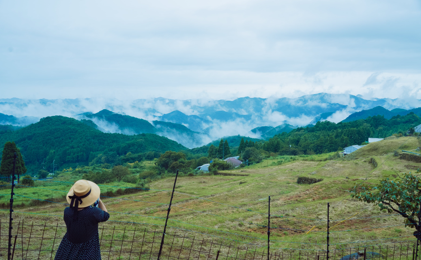 和歌山県智勝浦町「色川の棚田郡」レポート