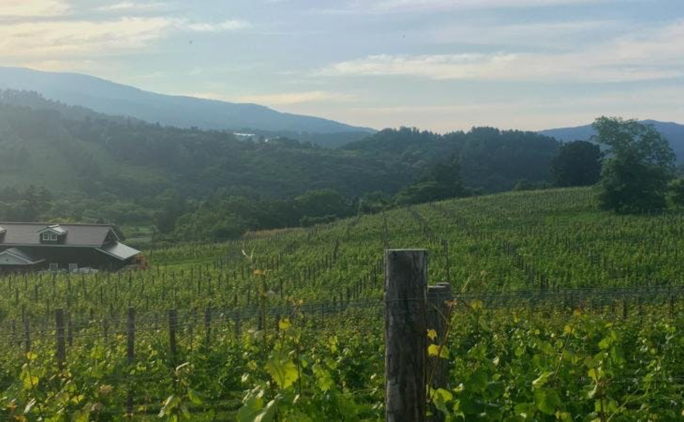 品川店｜北海道ワインセミナー