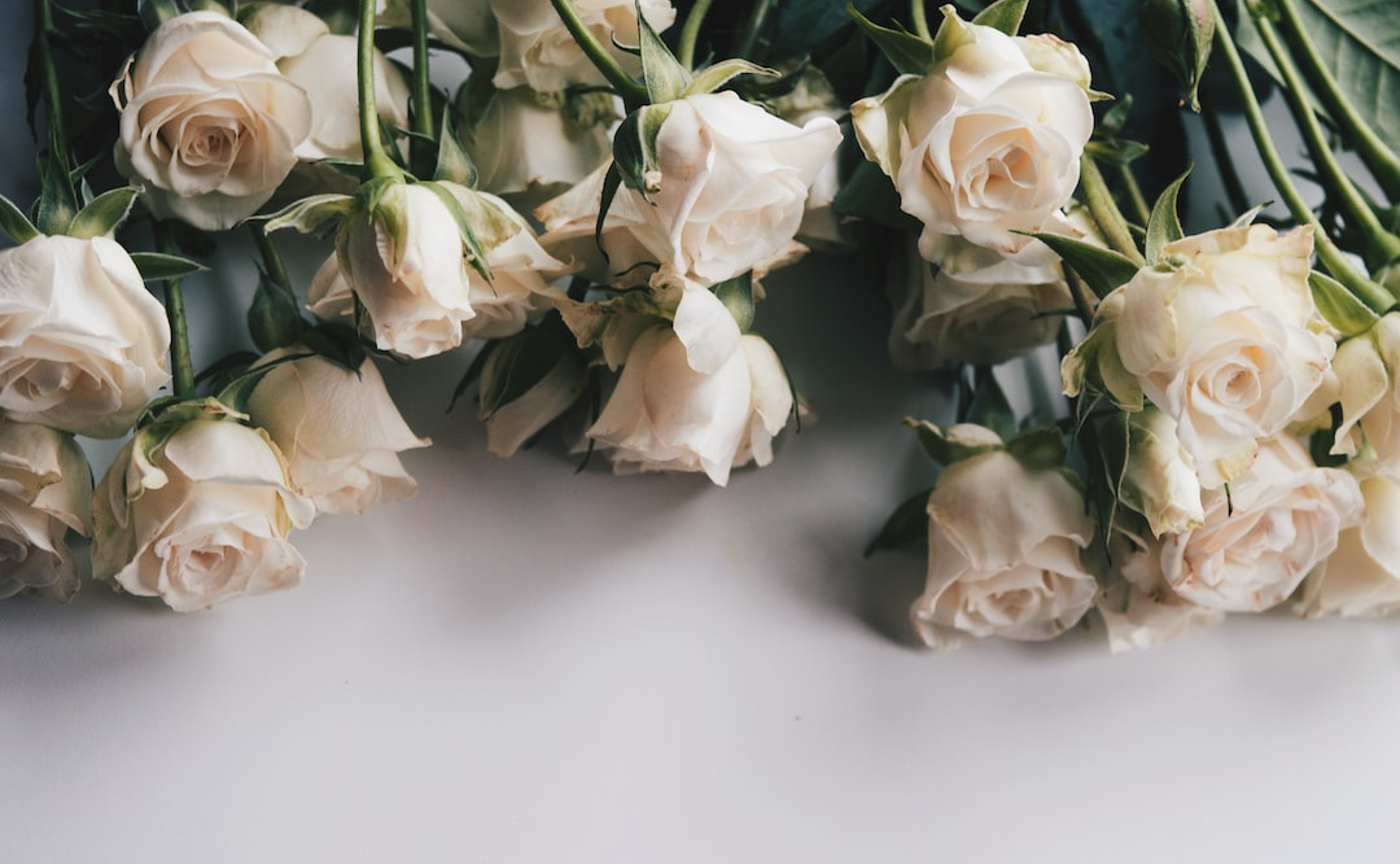 Le comptoirに入ってよかったこととご感想