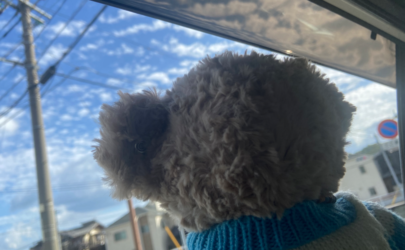 おでかけおでかけネー