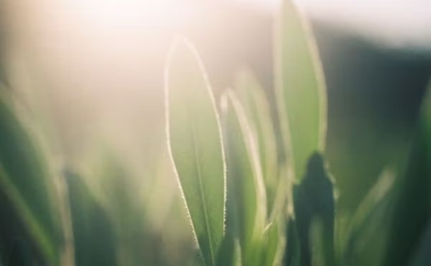 初心者さん向け・フィルムカメラの基礎講座 with yuriさん