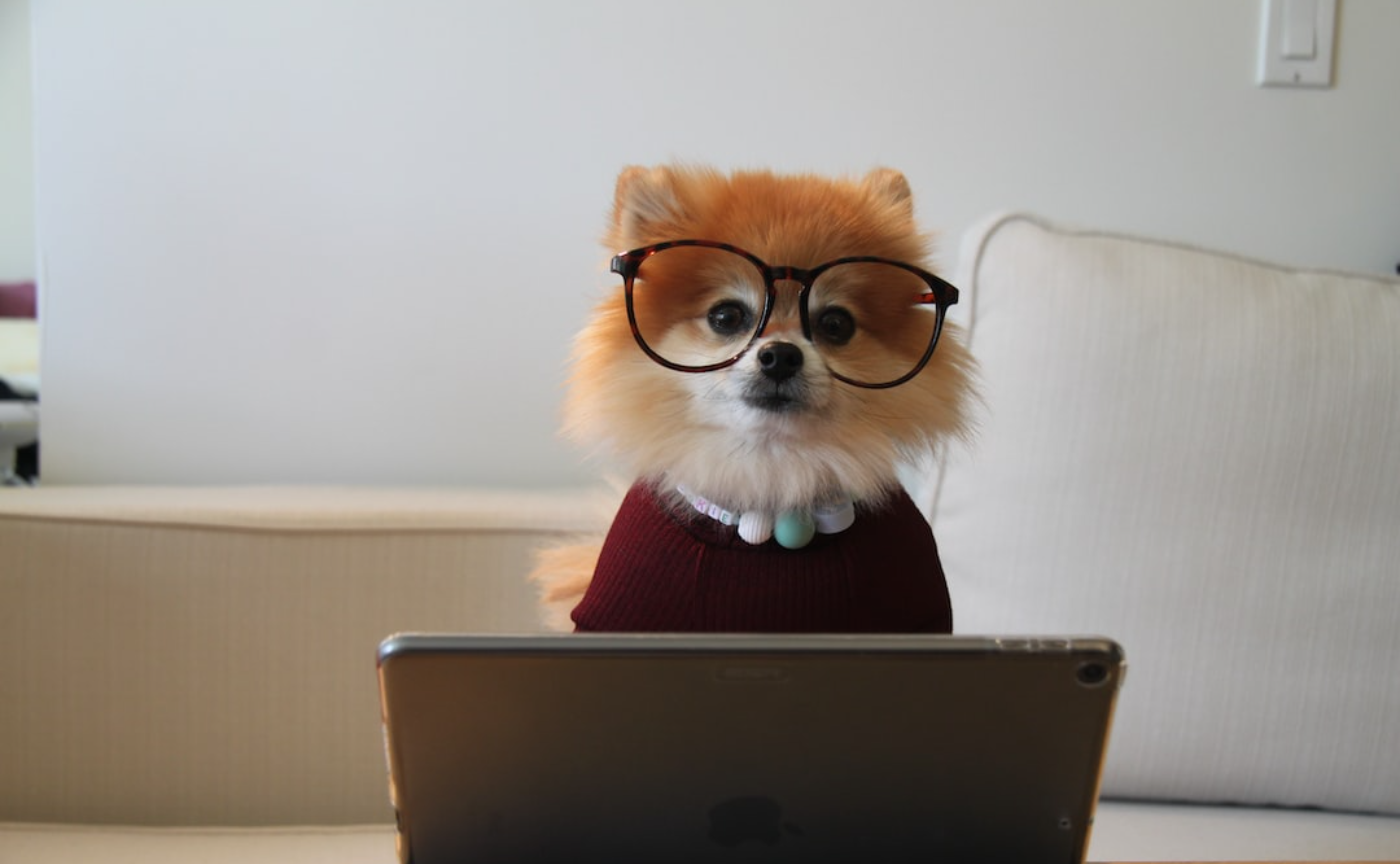 Web制作フリーランスとして生き残るためのスキルセットと学習方法を自分なりに考えてみた