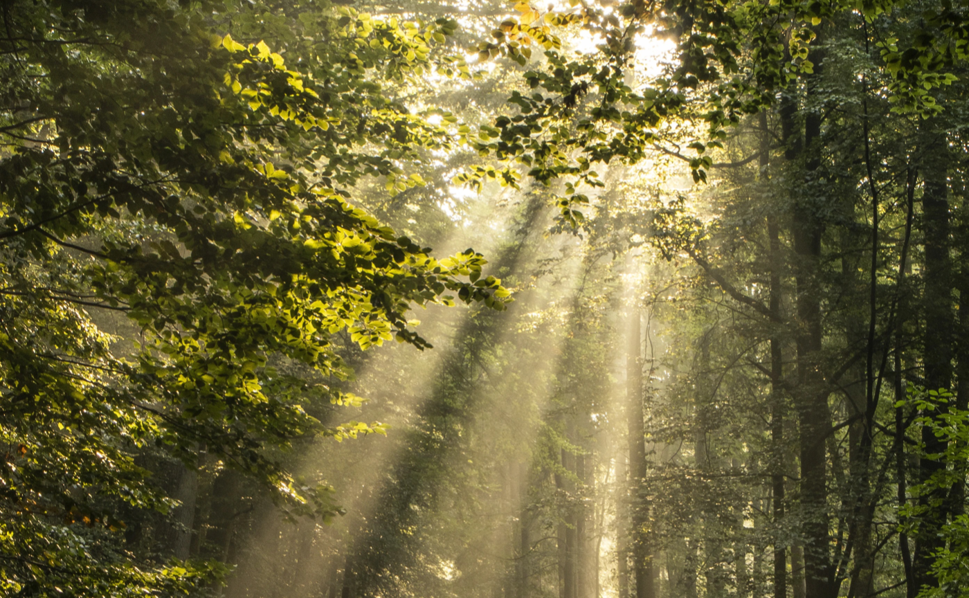 【重要】新たな旅立ちへ(価格、コンテンツの変更に伴うお知らせ)