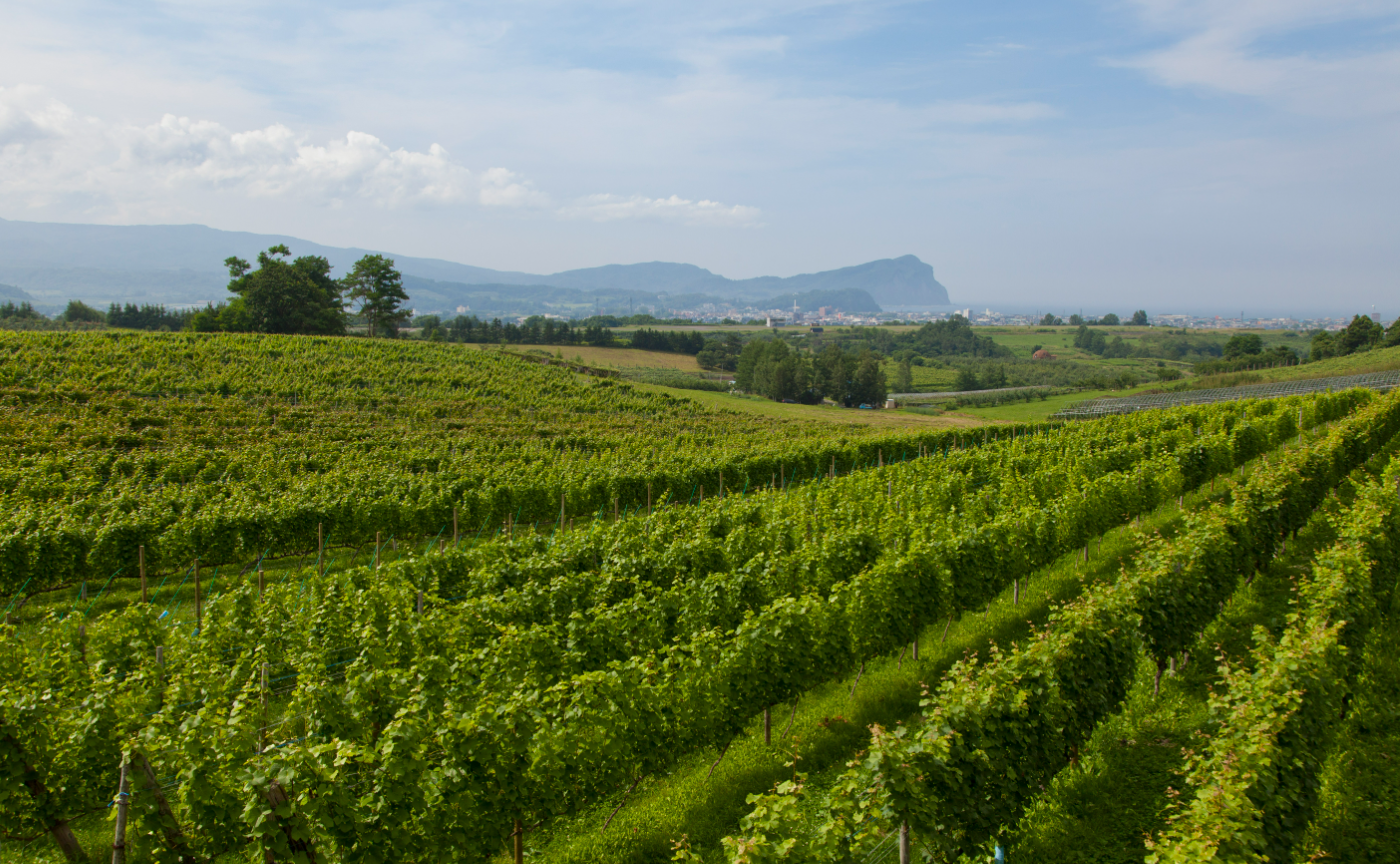 京都店｜余市町産ワインとたのしむペアリングコース