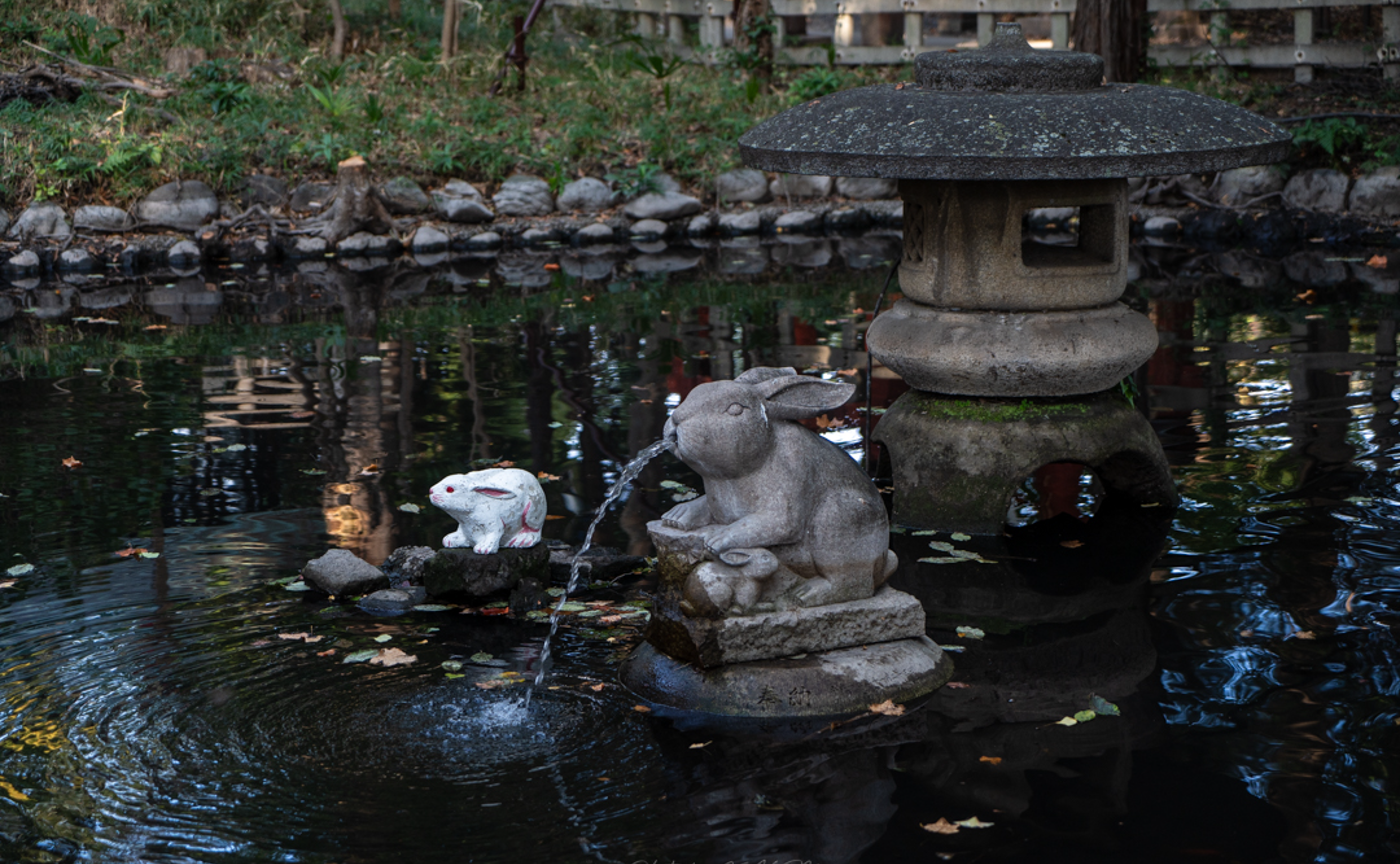 狛犬の代わりに兎が置かれている 調(つき)神社 ＠埼玉