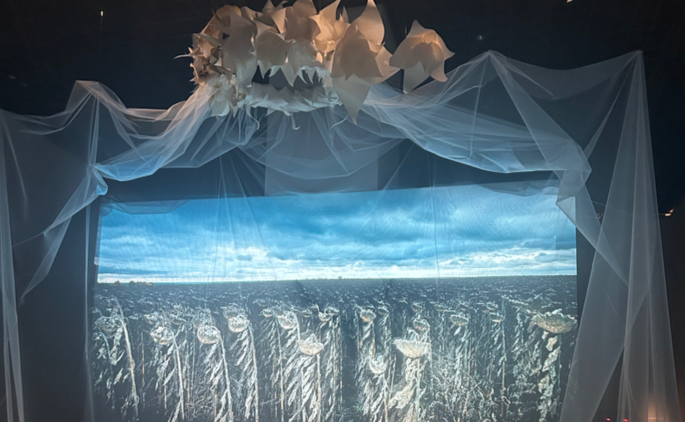 速報♡ 夢無子【戦争だから結婚しよう】